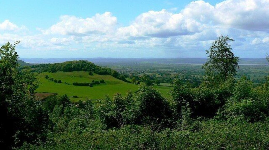 A view near Uley towards the Severn The landform at the left of the image is Cam Long Down in the next square west. To the right is the River Severn and beyond that the Forest of Dean.