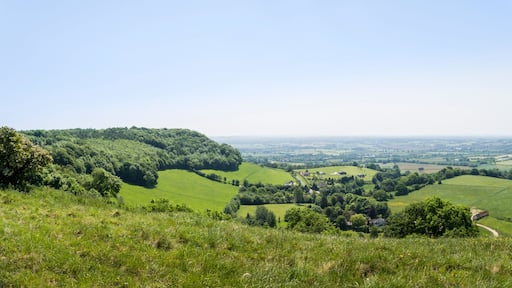 Tyndale Monument Panorama, Gloucestershire, UK