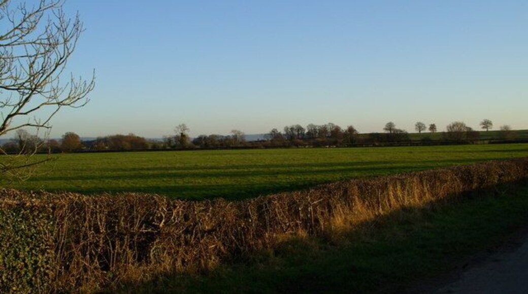 Birdwood to Huntley via the back road -4 Looking East across the fields with the Cotswolds in the background.
