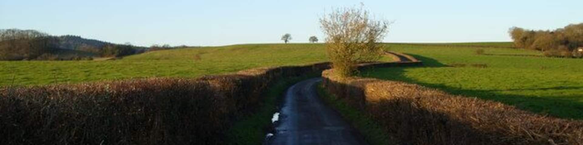 Birdwood to Huntley via the back road -5 The road is pleasantly symmetrical and draws you on................