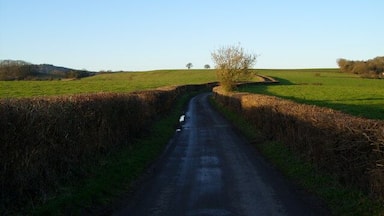 Birdwood to Huntley via the back road -5 The road is pleasantly symmetrical and draws you on................