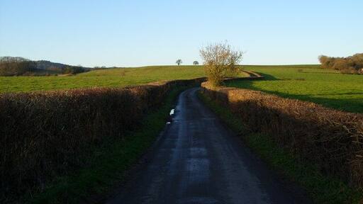 Birdwood to Huntley via the back road -5 The road is pleasantly symmetrical and draws you on................