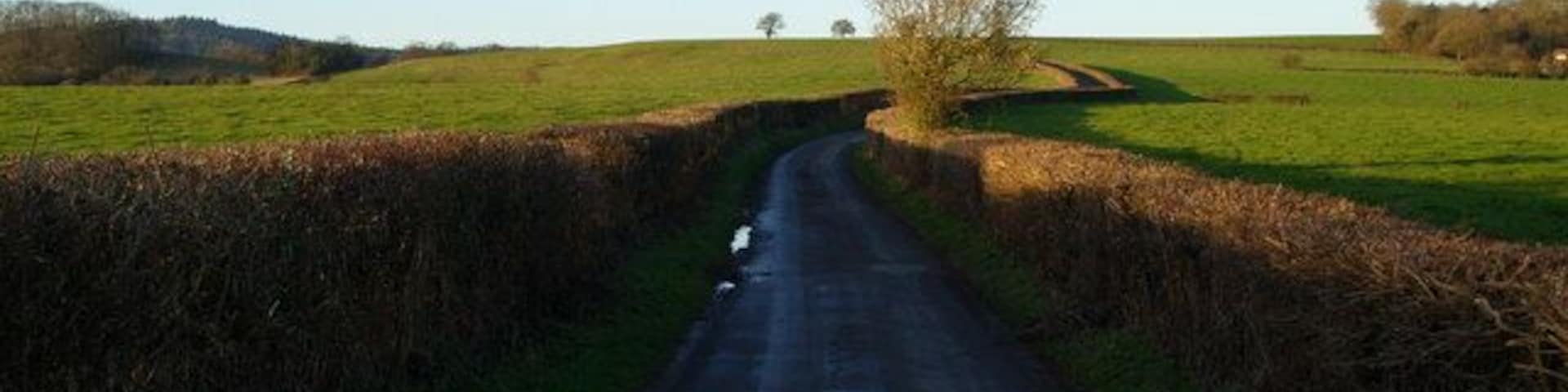 Birdwood to Huntley via the back road -5 The road is pleasantly symmetrical and draws you on................