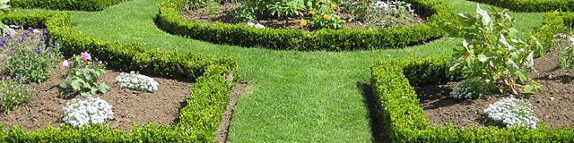 The parterre, Westbury Court Gardens For information about parterres, click Parterre