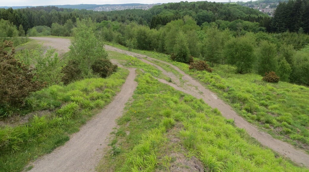 Lightmoor colliery - May 2012