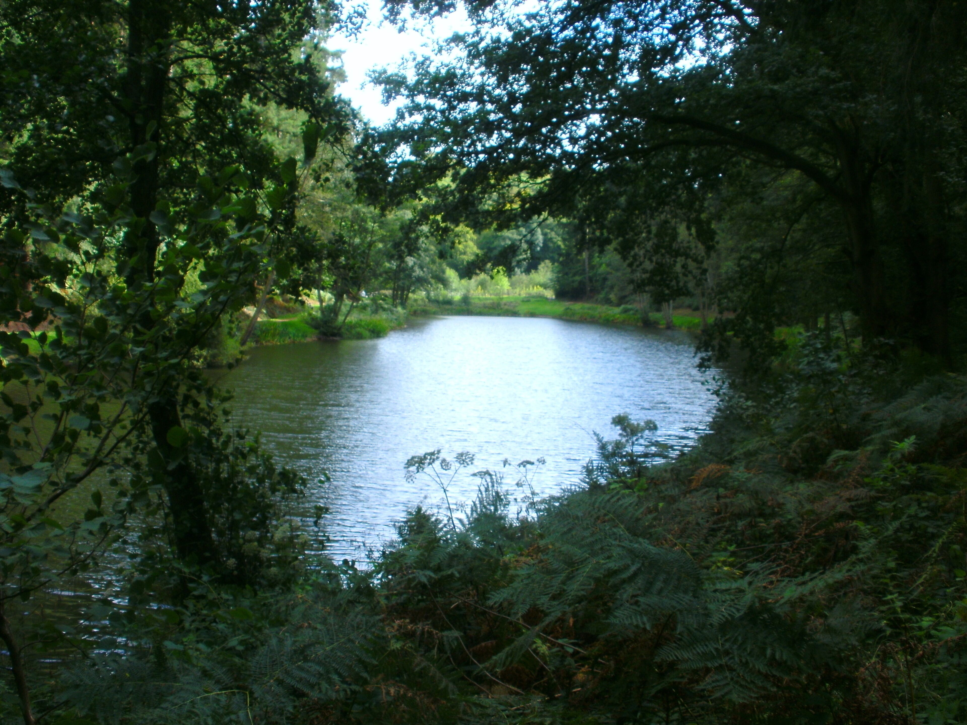 Lower Pond - August 2011