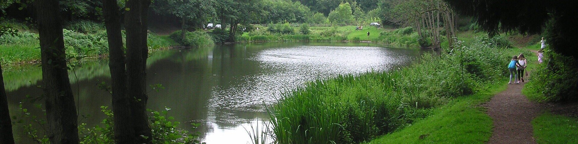 Um rio rodeado por floresta densa, uma trilha de terra e uma área gramada.