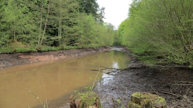 Middle Point drained down - May 2012