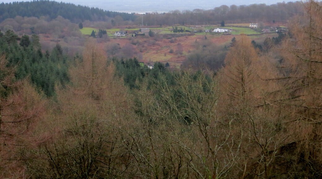 Bradley Hill from Staple Edge with Cotswold Hills in distance - Feb 2014