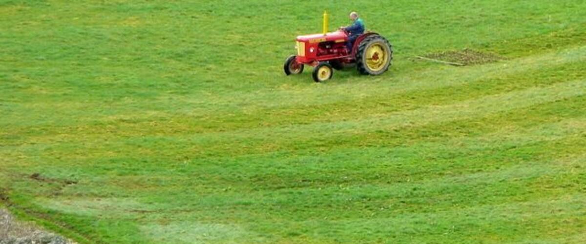 Un tracteur dans un champ verdoyant.