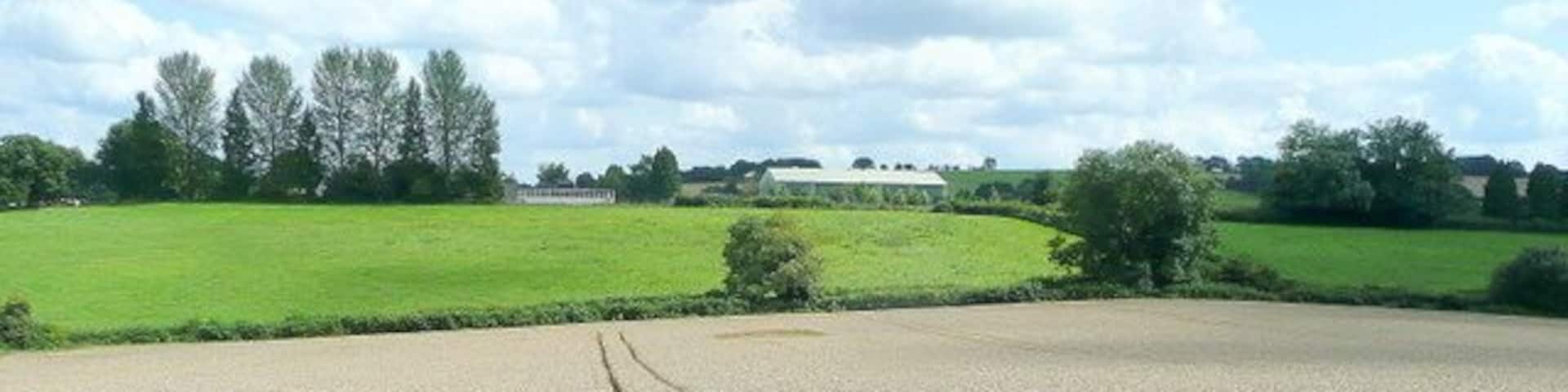 View east from Jubilee Road Beyond the fields is Dene Magna Community School on Abenhall Road.