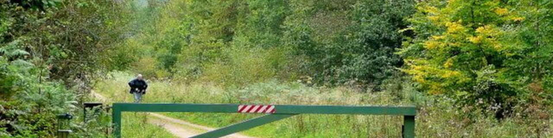 Un sendero rural con una verja verde y un ciclista.