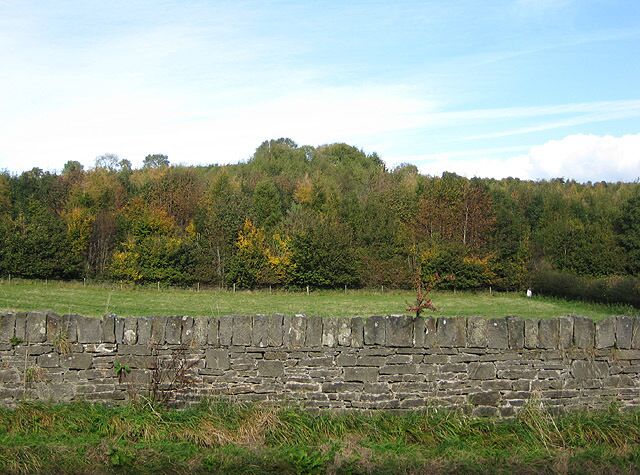 Unnamed wood, Morse Lane, Drybrook The view from the front door of the Rose in Hand pub.