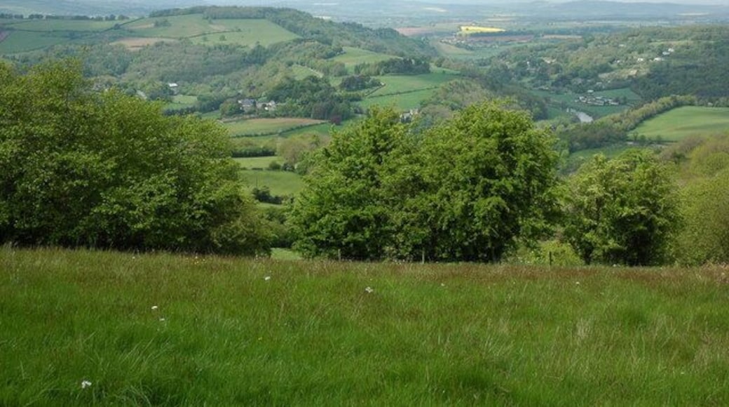 The Wye valley viewed from near Joy's Green From the high ground to the west of Ruardean there are superb views across the Wye valley and Herefordshire to the Welsh borders. The River Wye can be seen in the valley downstream from Kerne Bridge.