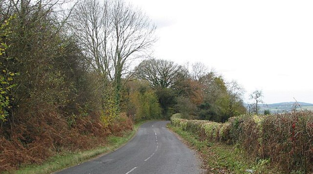 Road to Joy's Green from Ruardean