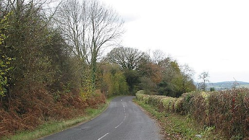 Road to Joy's Green from Ruardean