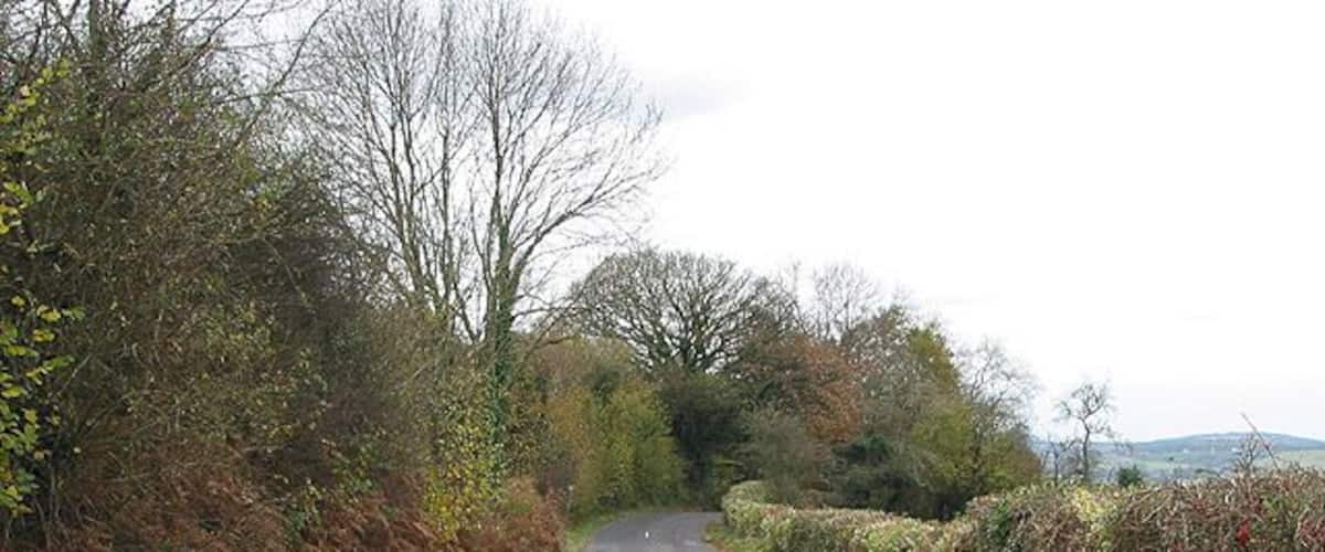 A narrow rural road flanked by trees and hedgerows.