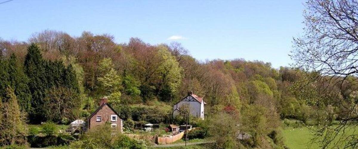 A rural landscape with houses, sheep, and a river.
