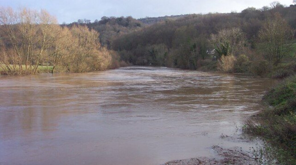 The River Wye at Lower Lydbrook. The Wye in moderate winter flood.
