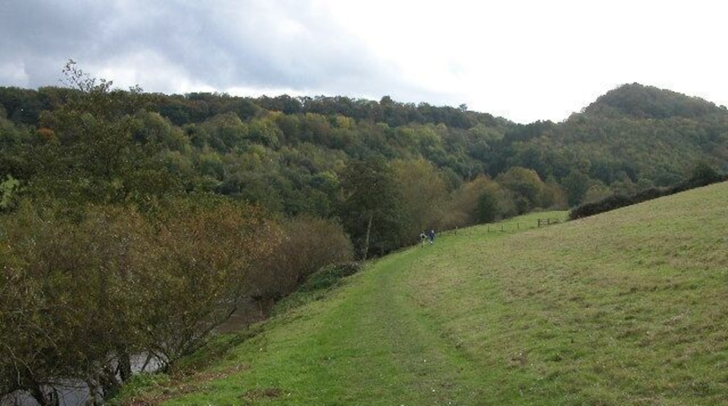 The Wye valley below Coppet Hill. This view of the Wye valley is from the river bank below the eastern slopes of Coppet Hill. The wooded hill in the background to the right is Lord's Grove.