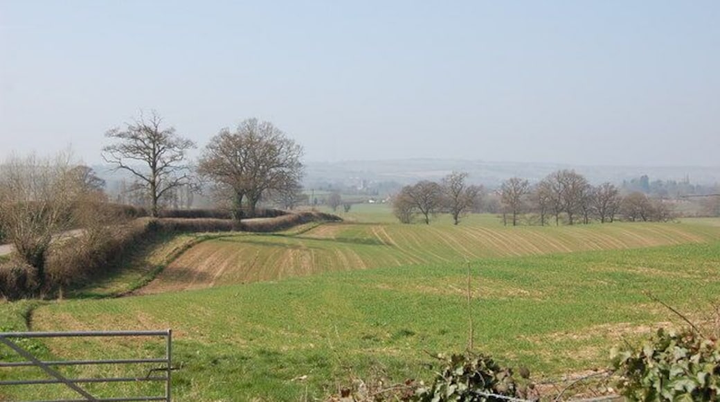 Countryside off B4024 With Much Marcle church just visible in distance.