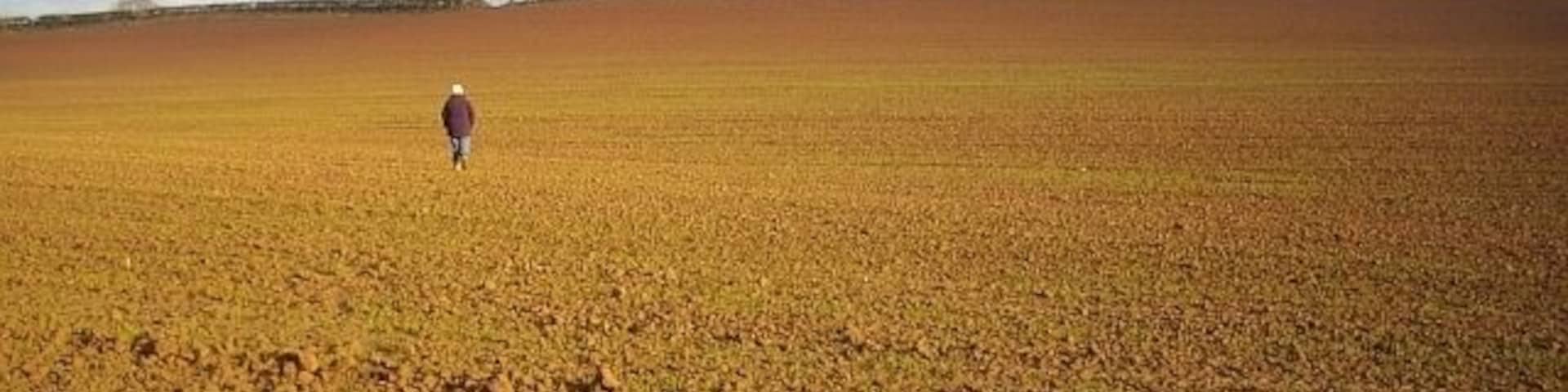 Poet's Path No 2 ploughed up Heading up from Rosehill to Drew's Farm.