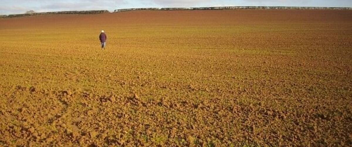 A vast field with a person walking in the distance.