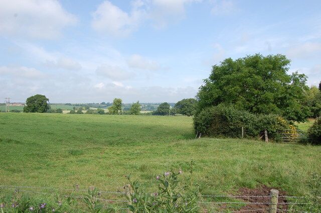 Fields near Kempley