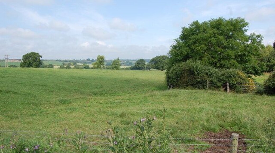 Fields near Kempley