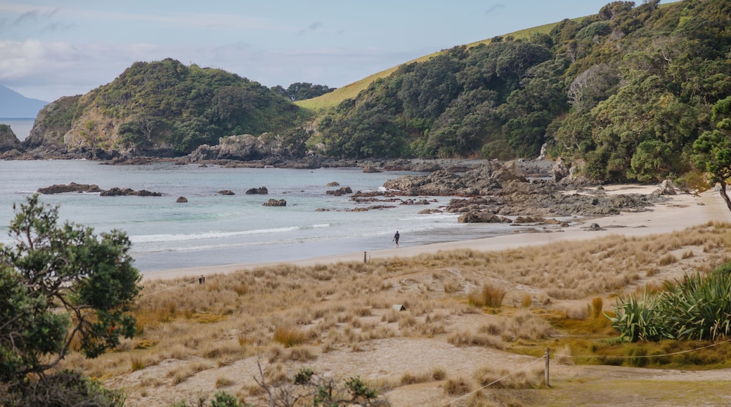 Sandy isolated tropical beach at Tawharanui, Matakana, Auckland, New Zealand.