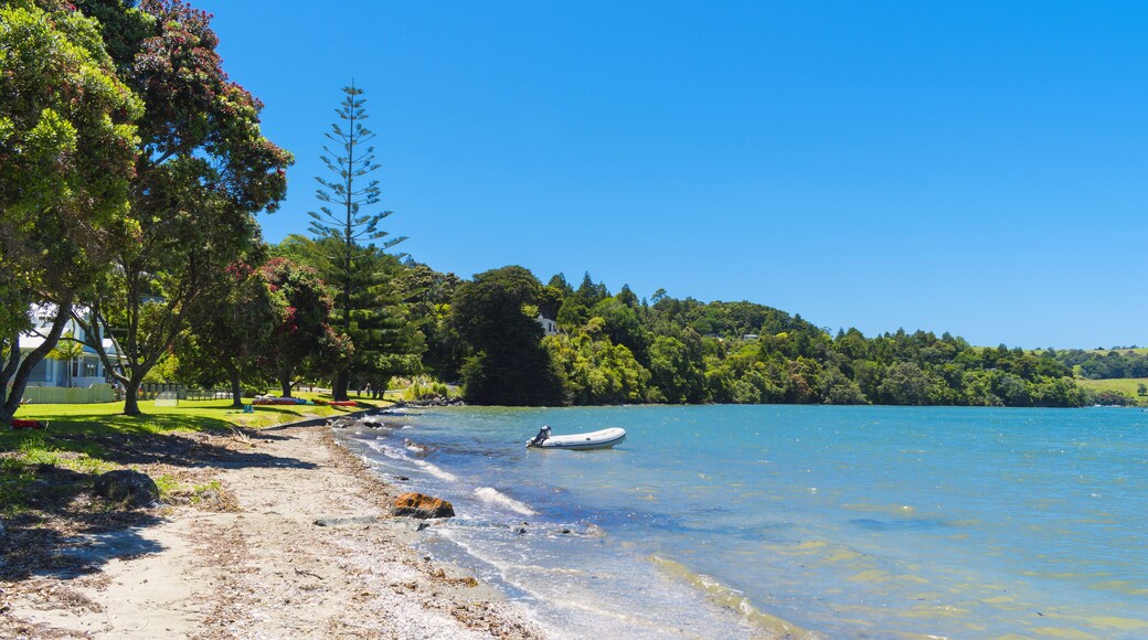Panoramic View of Baddeleys Beach Matakana, Tawharanui Peninsula, Auckland New Zealand
