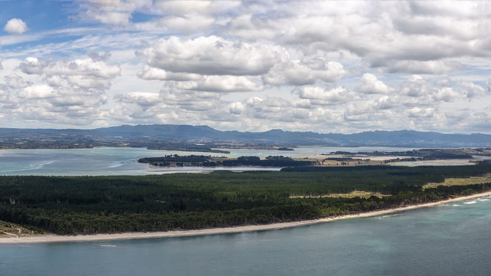 A coastal landscape with a sandy beach, dense forest, and a large body of water.