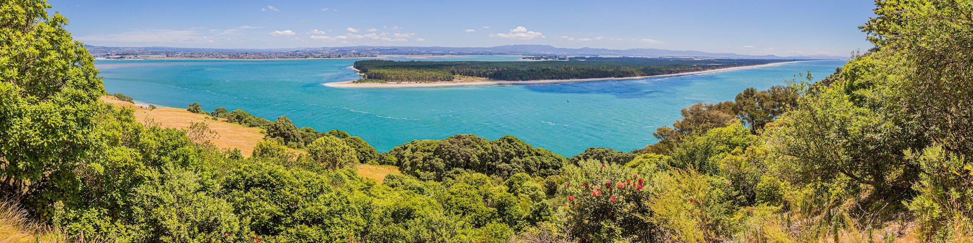 View from Mount Mainganui to Matakana Island on northern island of New Zealand in summer