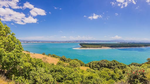 View from Mount Mainganui to Matakana Island on northern island of New Zealand in summer