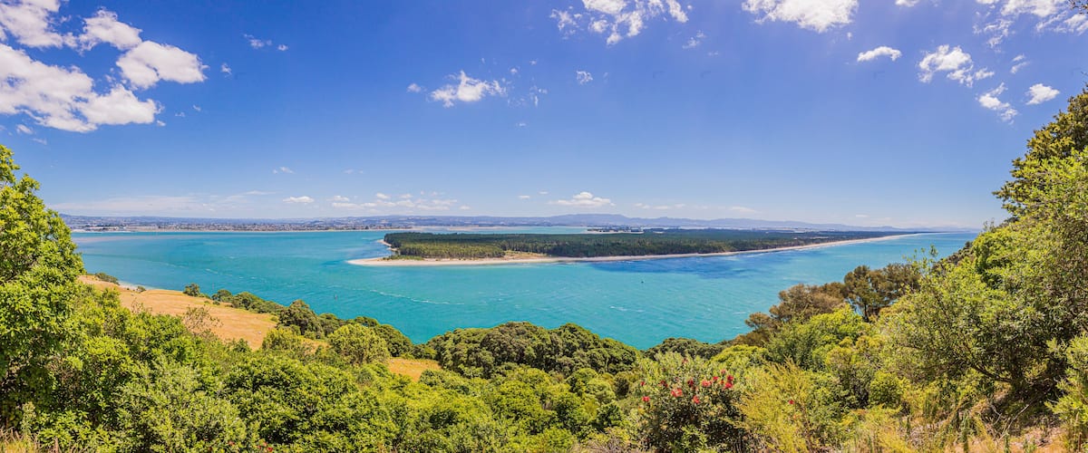 A coastal landscape with a clear blue sea, a sandy beach, and dense green vegetation.