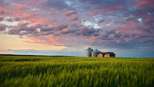 Summer Evening on the Prairie