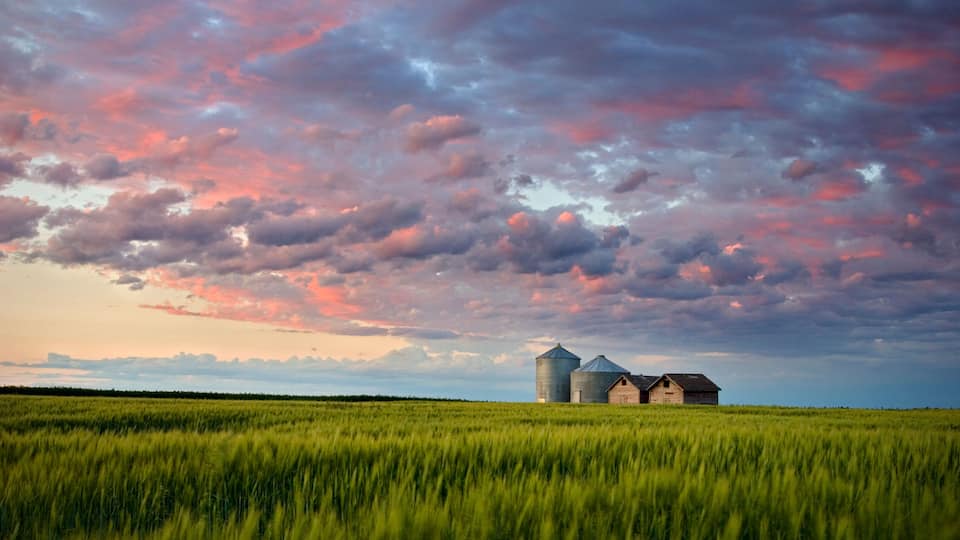 A rural landscape with a field of tall grass, two grain silos, and a wooden barn under a colorful sky.