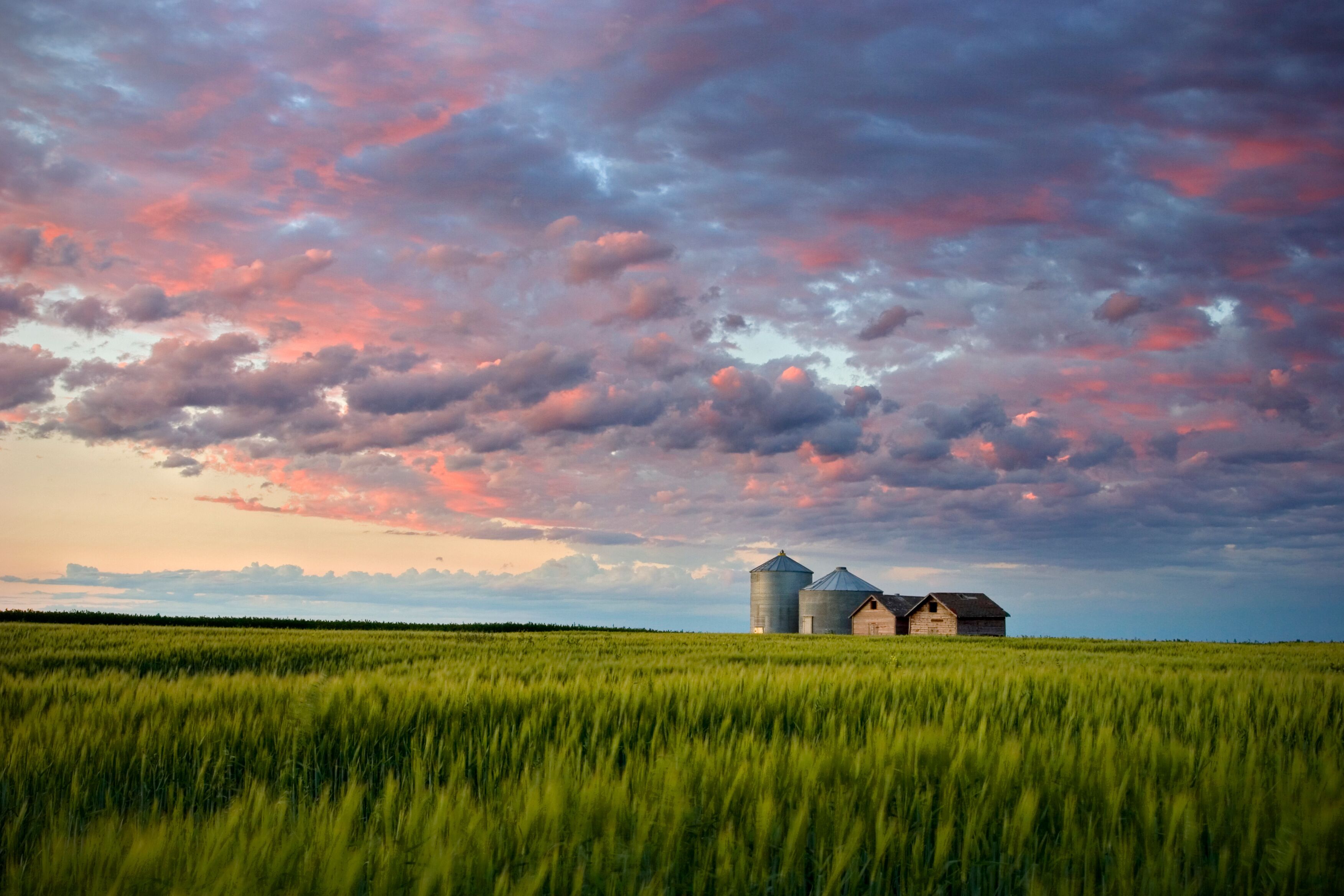 A rural landscape with a field of tall grass, two grain silos, and a wooden barn under a colorful sky.