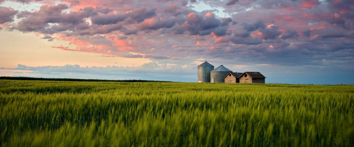 A rural landscape with a field of tall grass, two grain silos, and a wooden barn under a colorful sky.