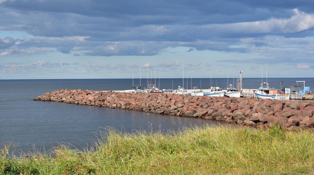 CAP-PELE, NEW-BRUNSWICK, CANADA, August 18, 2022 - Small seaport with lots of lobster fishing boats. Protection against waves made of large boulders.
