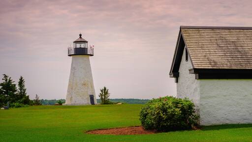 マタポイセット