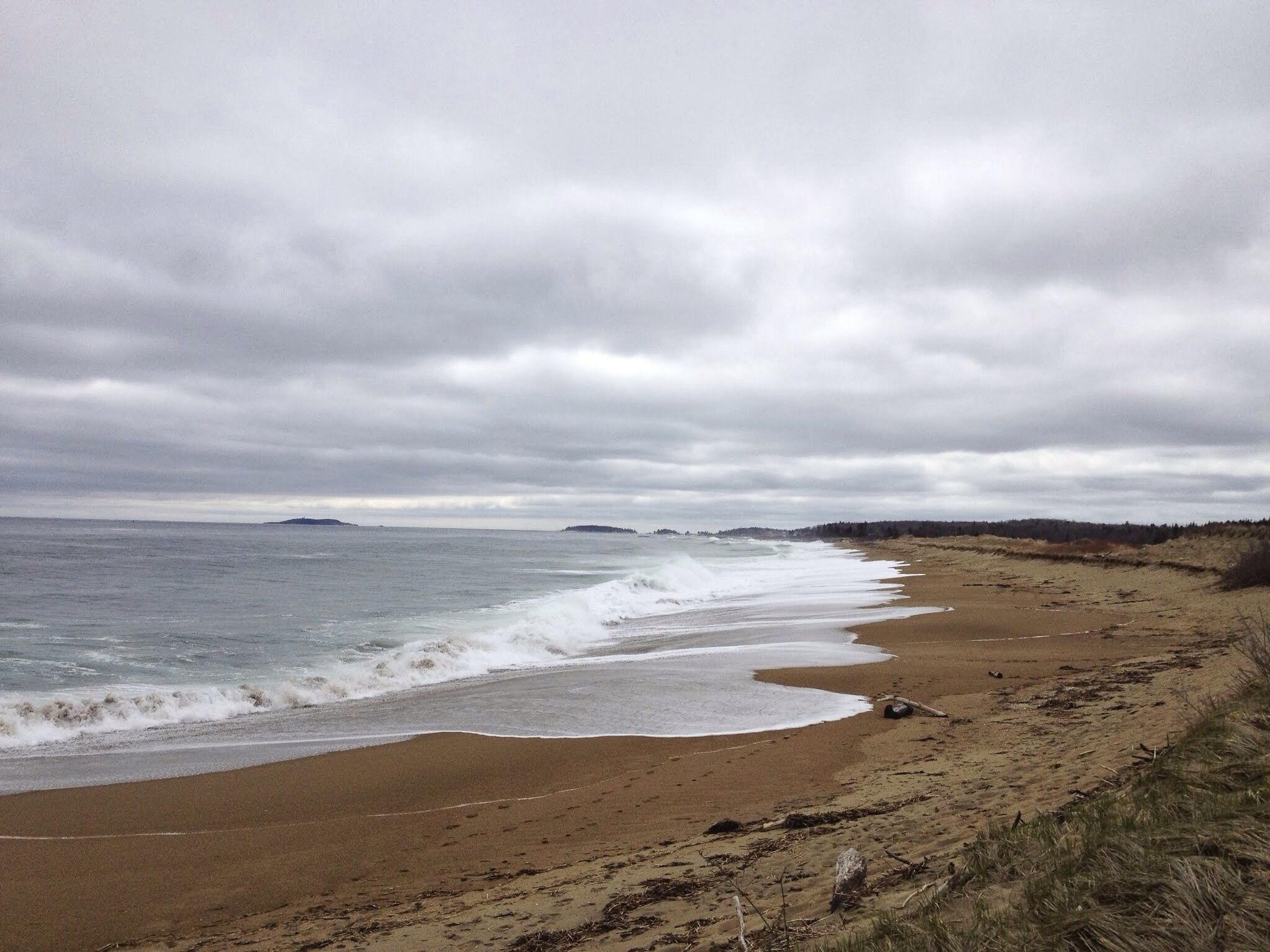Love this beach in the MidCoast. We visit it in winter when we can walk our dog on this very long beach. 
