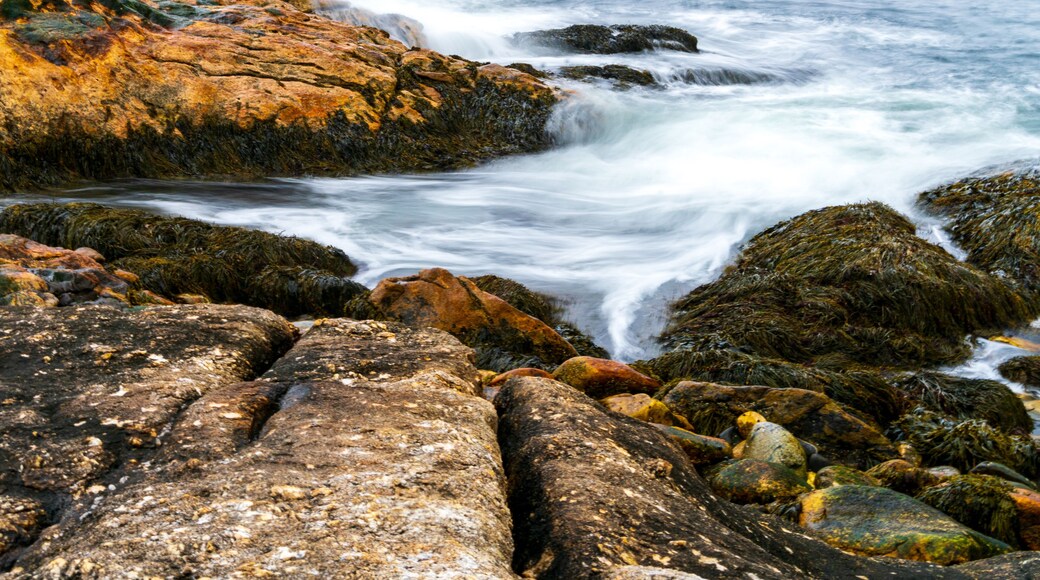 Reid State Park in Georgetown, Maine