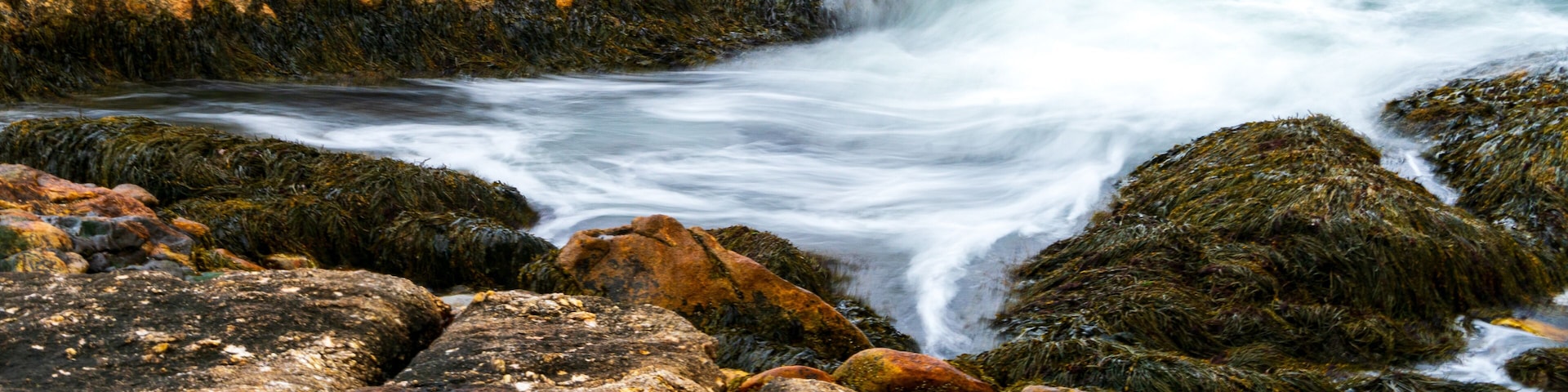Reid State Park in Georgetown, Maine