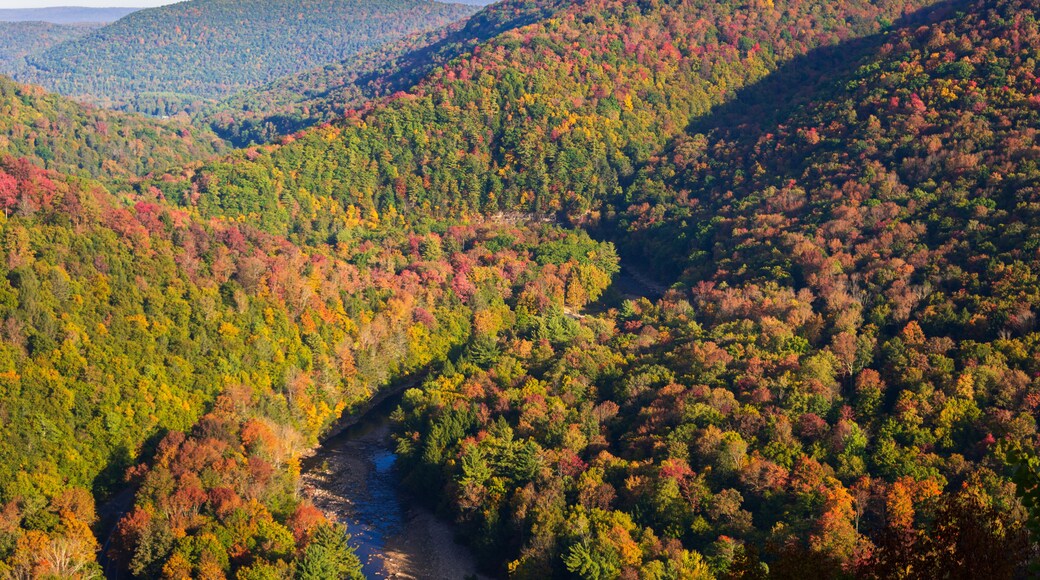 Union Dale
