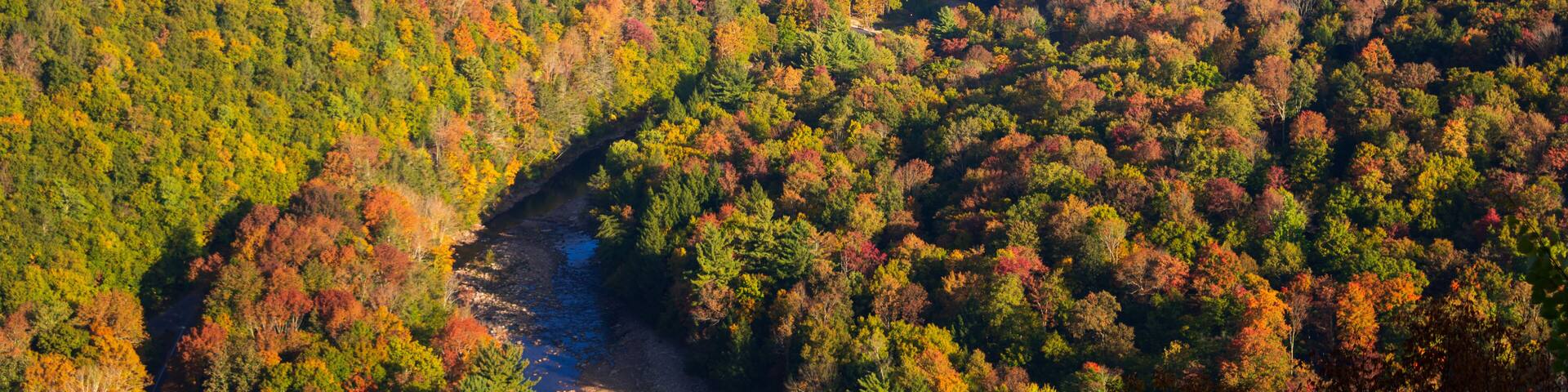 Worlds End State Park, State park in Pennsylvania