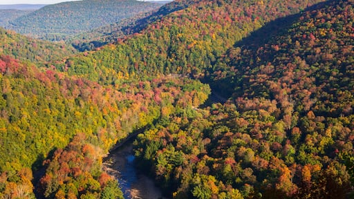 Worlds End State Park, State park in Pennsylvania
