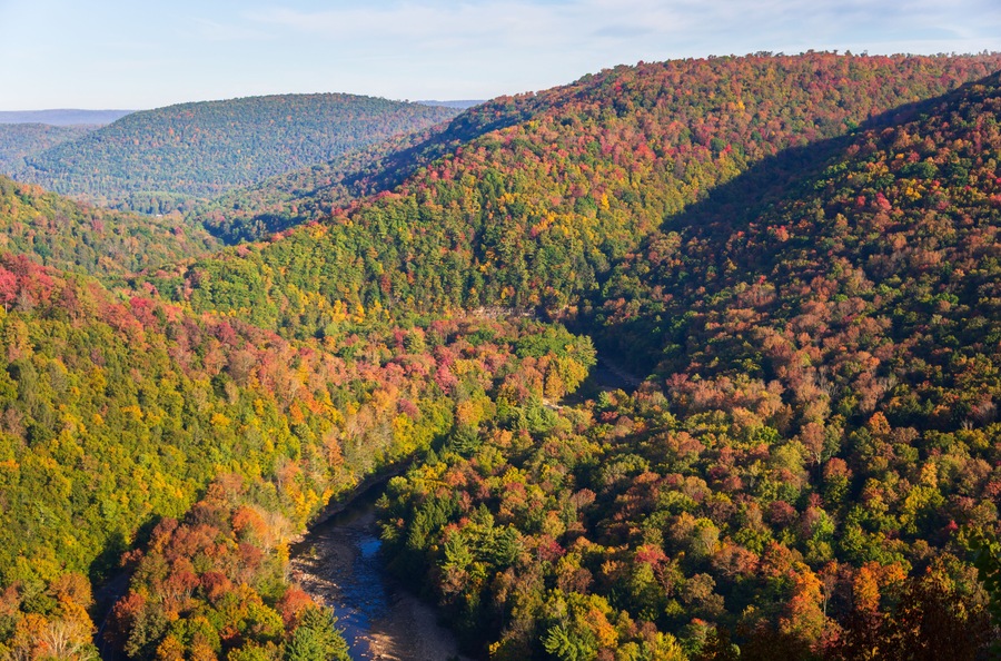 Worlds End State Park, State park in Pennsylvania
