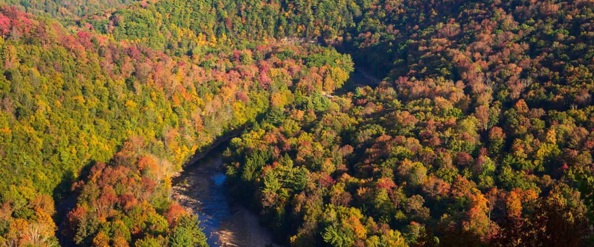 A river winding through a forested valley with hills in the background.