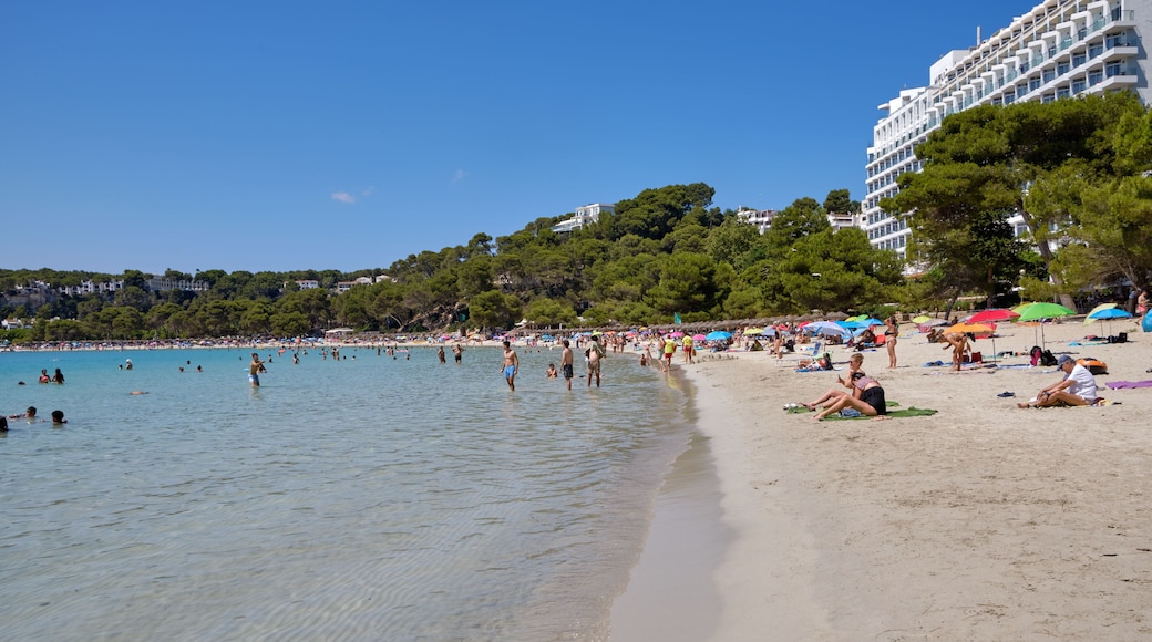 Menorca, Spain: Afternoon in Son Bou beach on a cold sunny day, Menorca, Spain